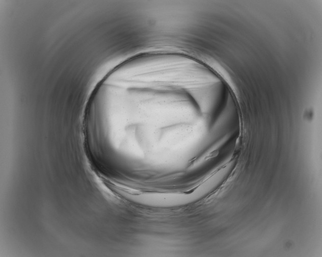 X0000090881485200708171635