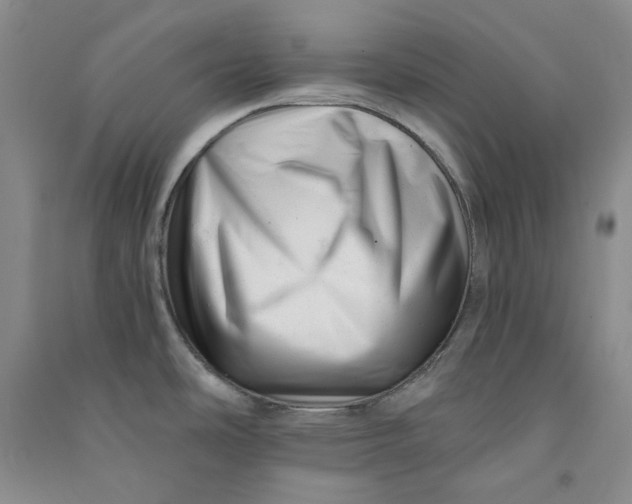 X0000090881486200708171635