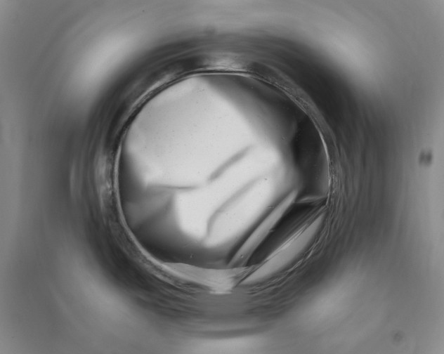 X0000090881487200708171635