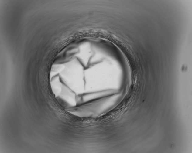 X0000090881489200708171635
