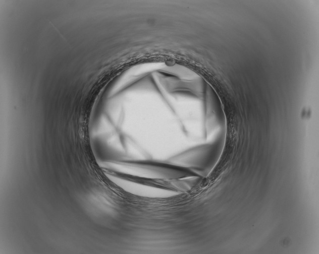 X0000090881490200708171635