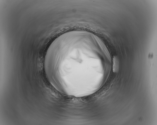 X0000090881491200708171635