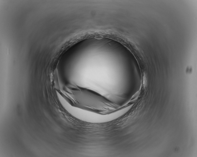 X0000090881492200708171635