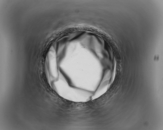 X0000090881493200708171635