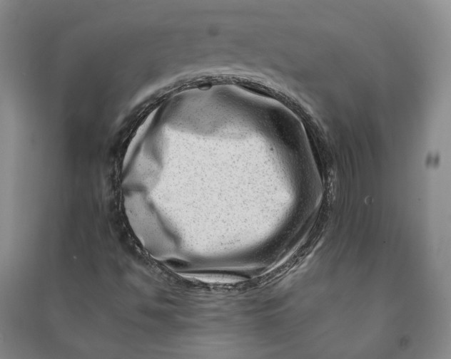 X0000090881494200708171635