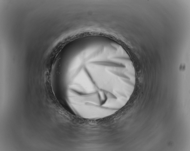 X0000090881495200708171635