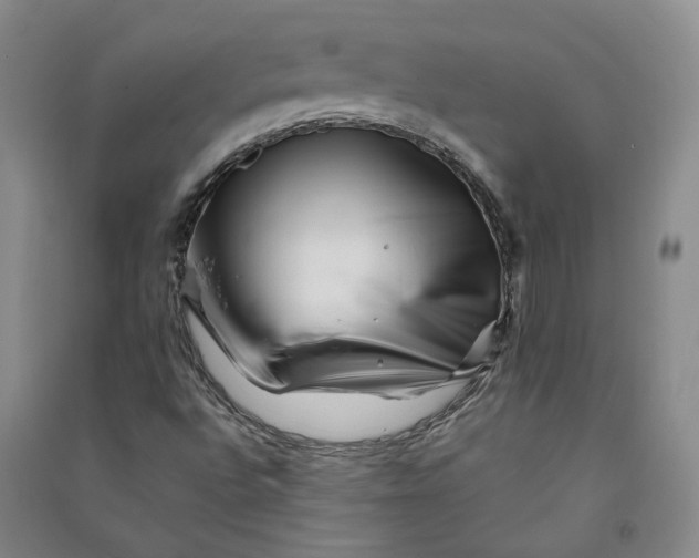 X0000090881496200708171635