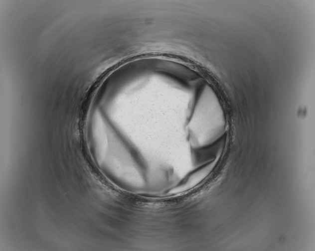 X0000090881497200708171635