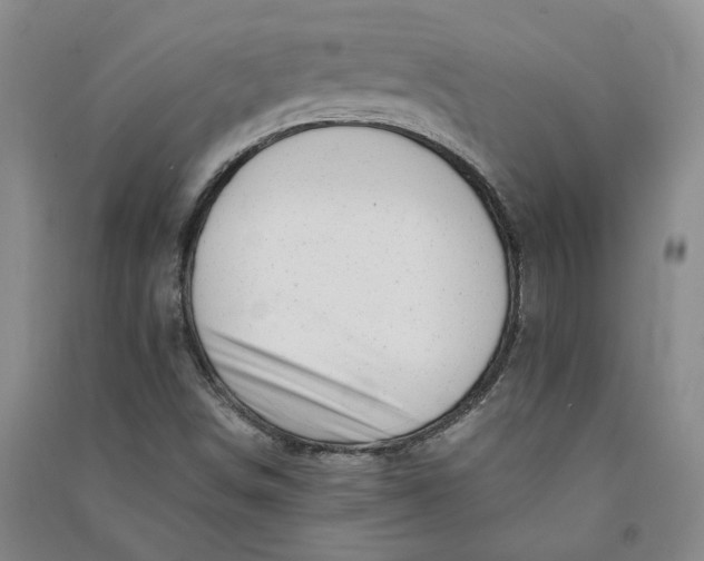 X0000090881498200708171635