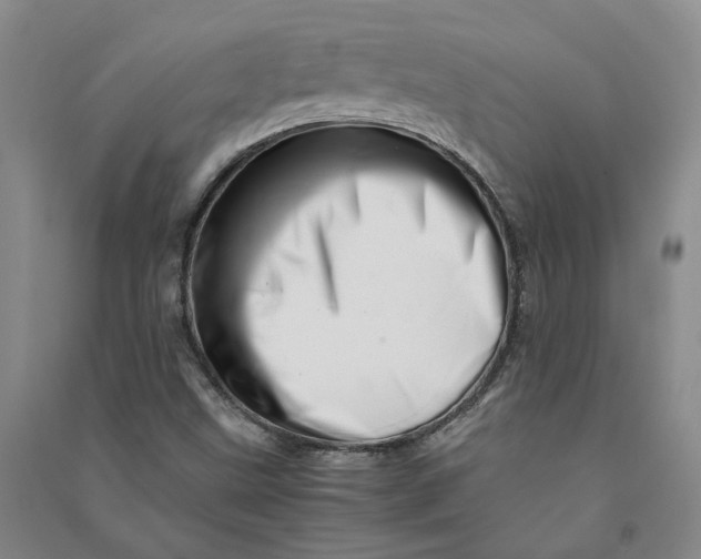 X0000090881499200708171635
