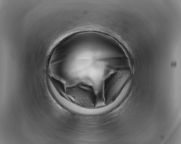 X0000090881500200708171635
