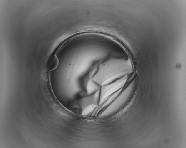X0000090881501200708171635