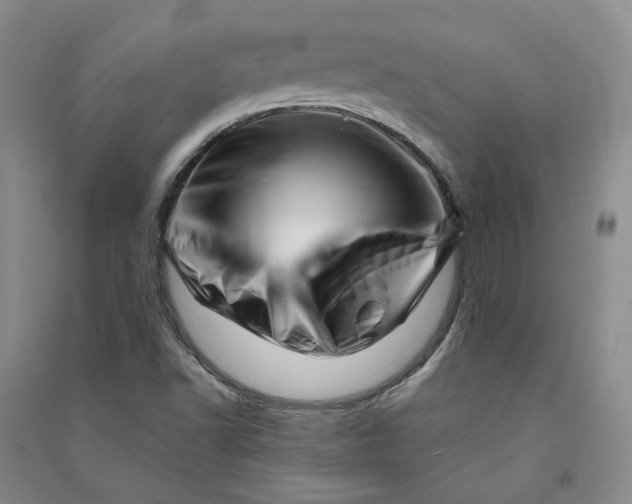 X0000090881502200708171635