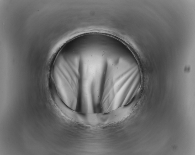 X0000090881504200708171635
