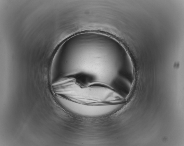X0000090881505200708171635