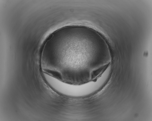 X0000090881506200708171635
