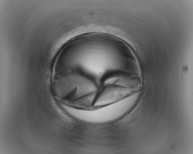 X0000090881507200708171635