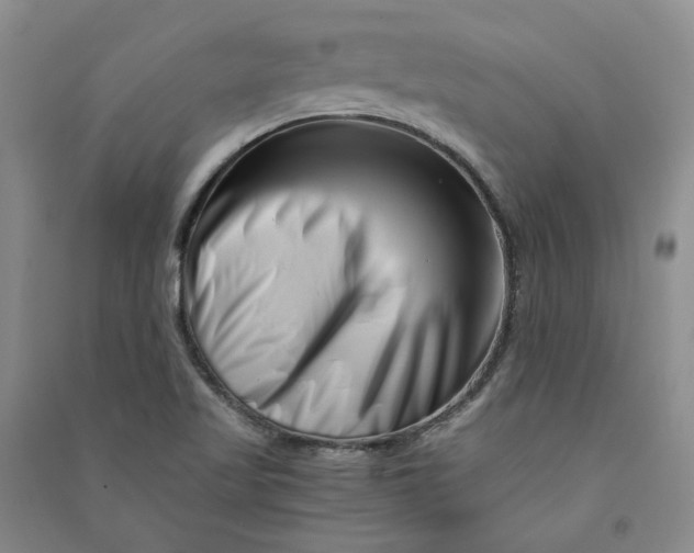 X0000090881509200708171635