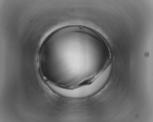 X0000090881510200708171635