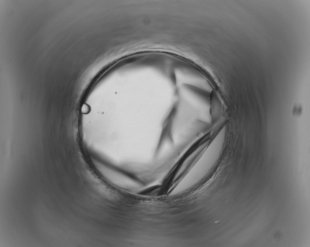 X0000090881511200708171635