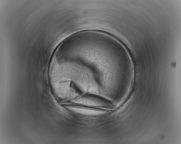 X0000090881513200708171635
