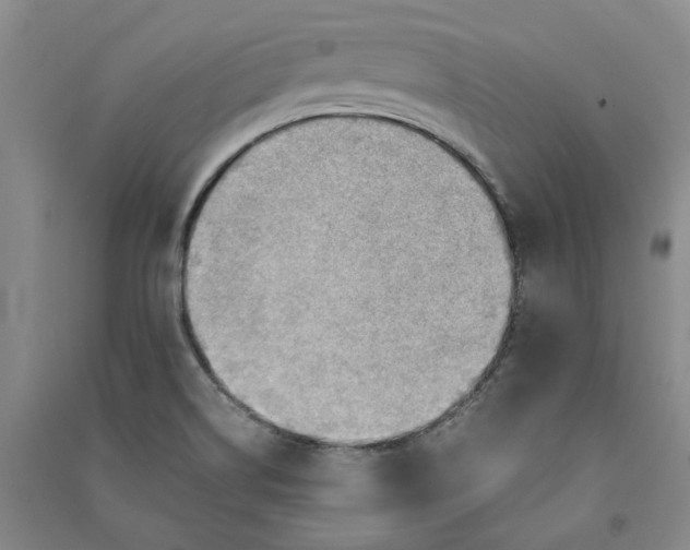 X0000090881514200708171635