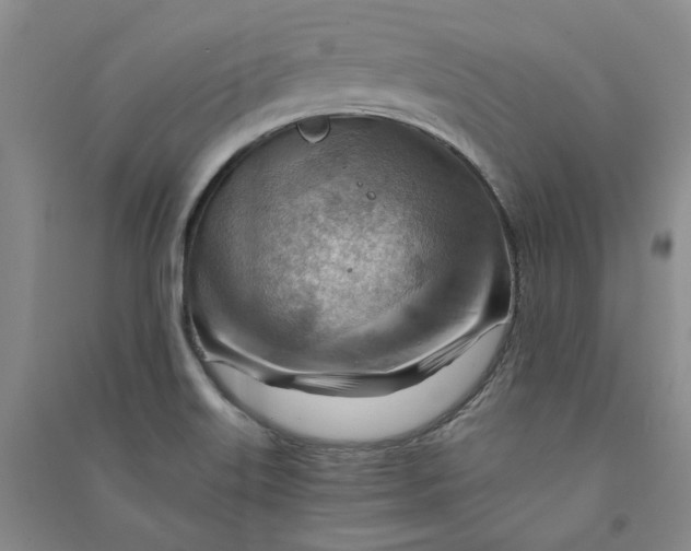 X0000090881515200708171635
