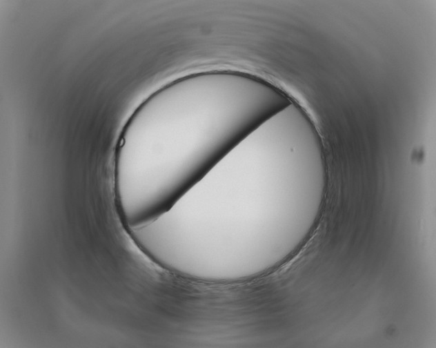 X0000090881516200708171635