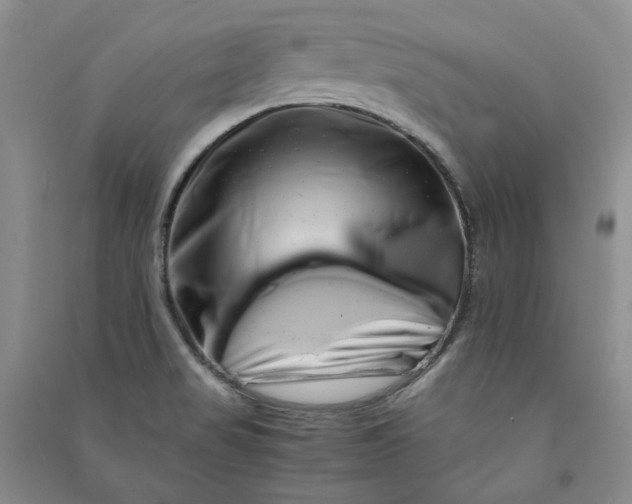 X0000090881517200708171635