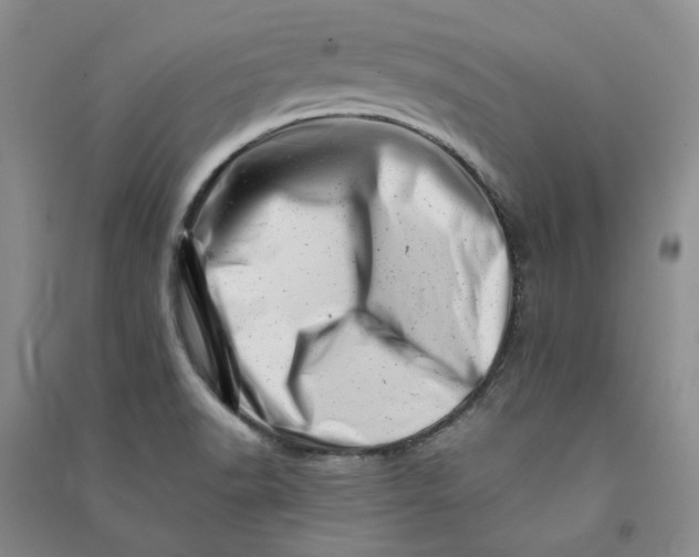 X0000090881518200708171635