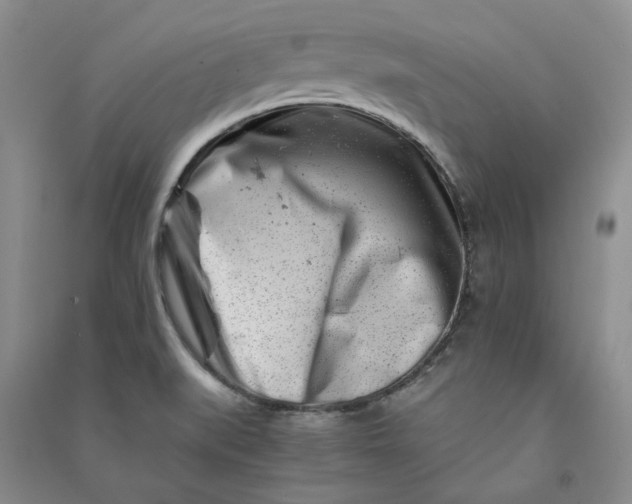 X0000090881519200708171635