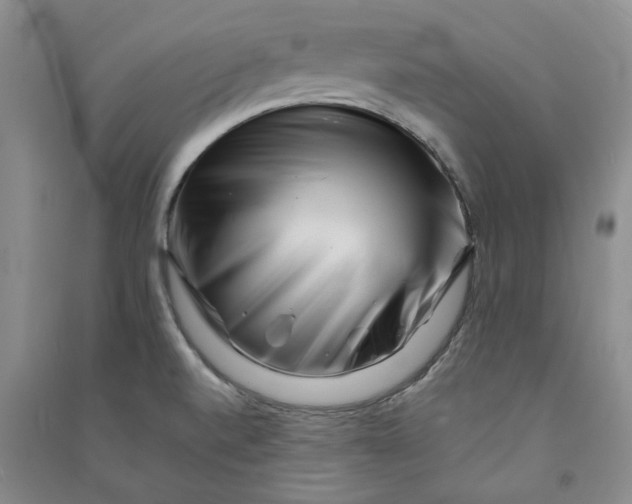 X0000090881520200708171635
