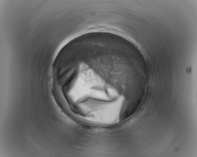 X0000090881522200708171635