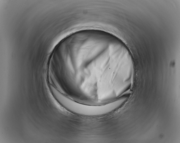 X0000090881523200708171635
