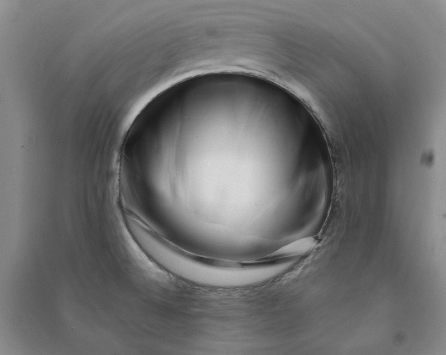X0000090881524200708171635