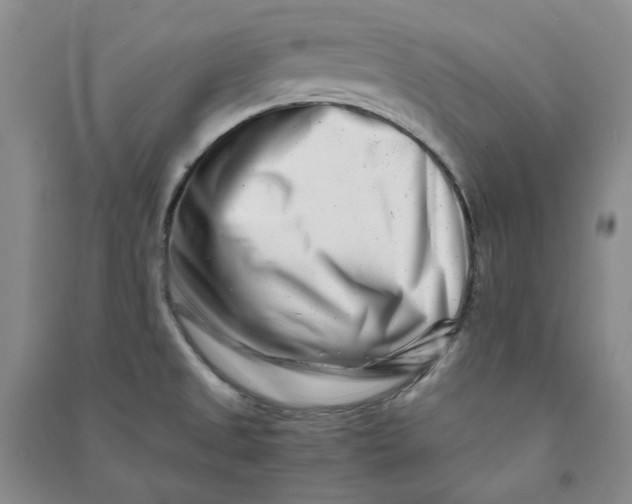 X0000090881525200708171635