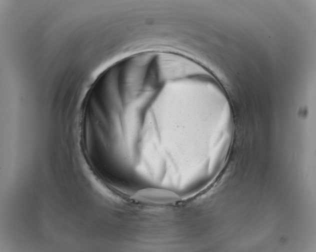 X0000090881526200708171635