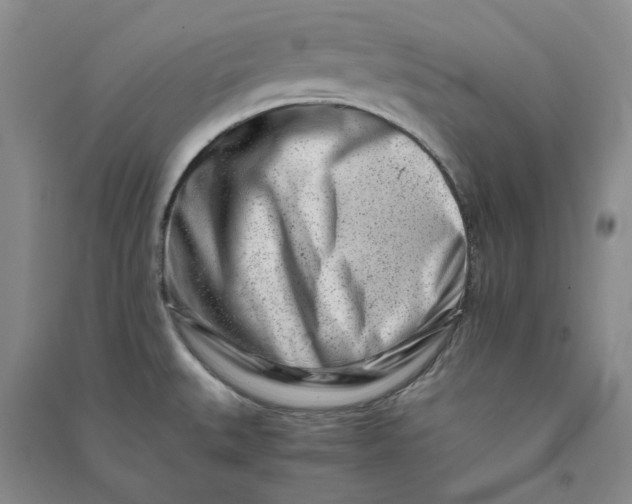 X0000090881527200708171635