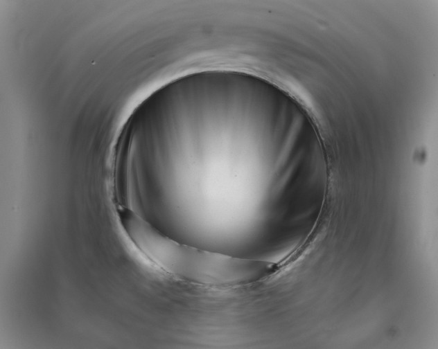 X0000090881528200708171635