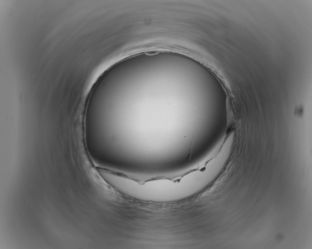 X0000090881530200708171635