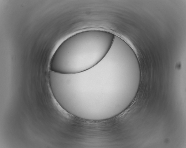 X0000090881532200708171635