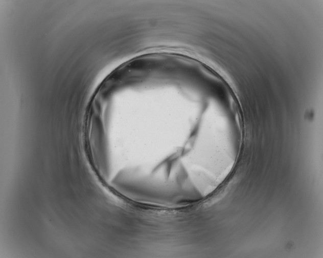 X0000090881533200708171635