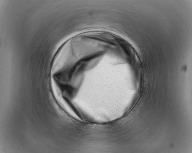 X0000090881534200708171635