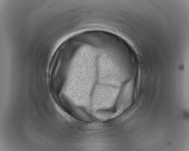 X0000090881535200708171635
