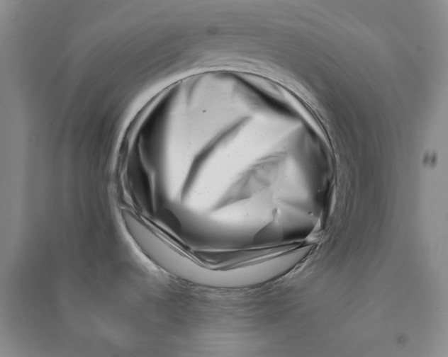 X0000090881536200708171635
