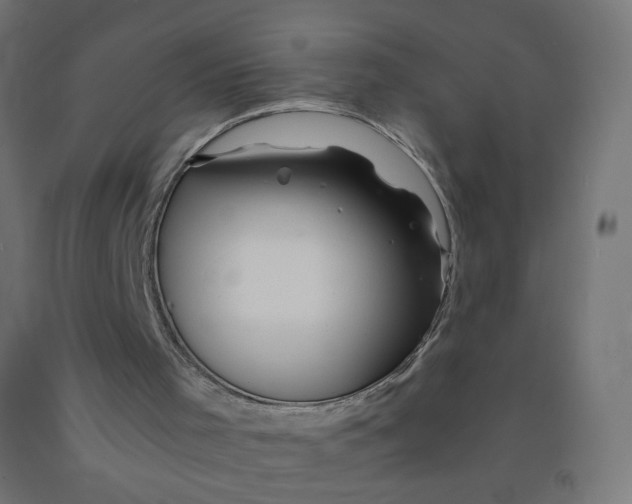 X0000090880001200708241950