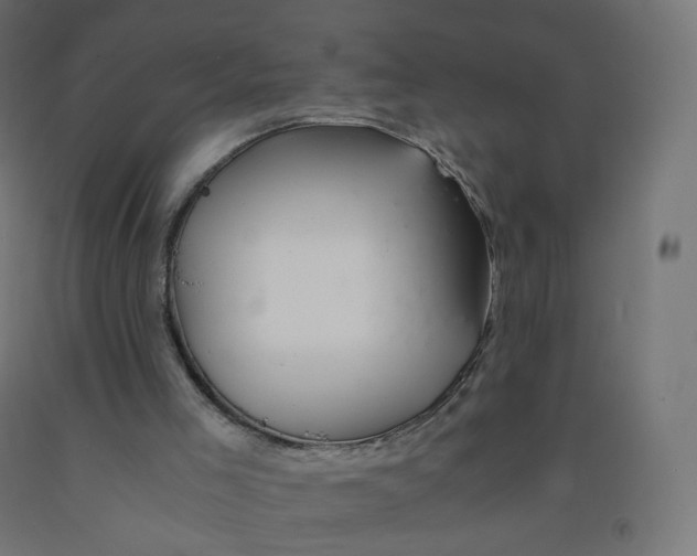 X0000090880005200708241950