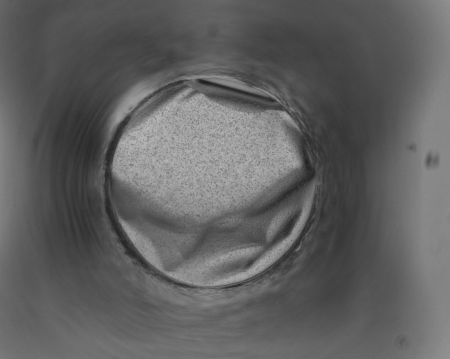 X0000090880006200708241950