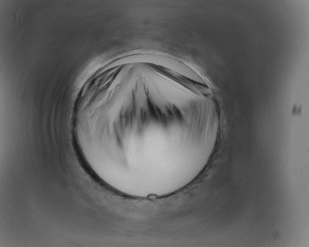 X0000090880007200708241950