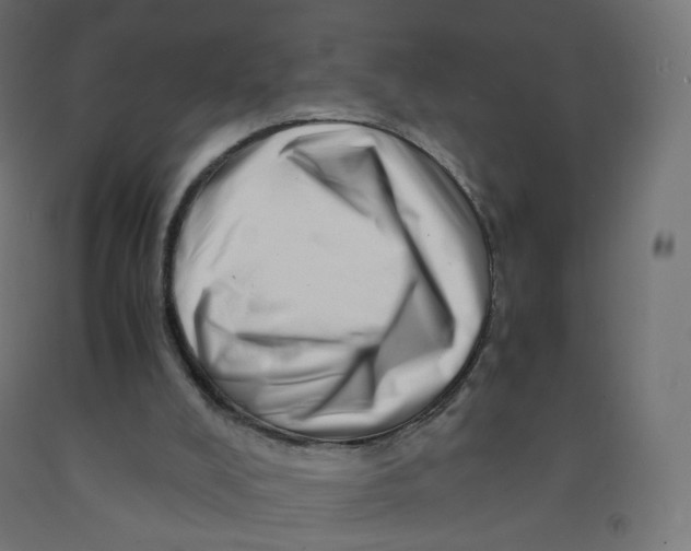 X0000090880008200708241950